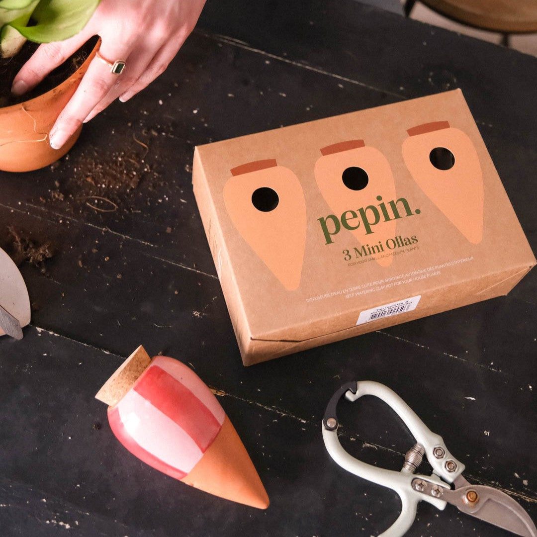 Pepin Mini Olla(ミニオラ)-3set