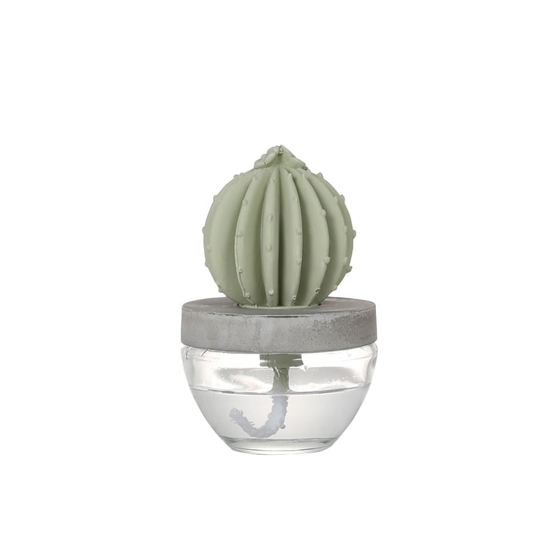 CACTUS FRAGRANCE DIFFUSER C W.FLOWER