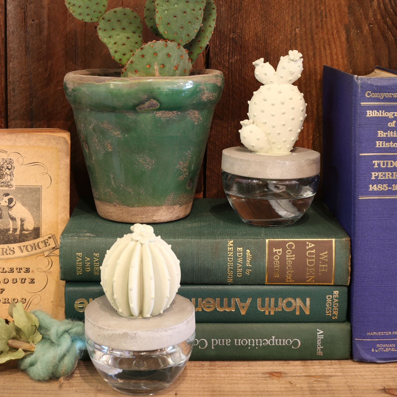 CACTUS FRAGRANCE DIFFUSER C W.FLOWER