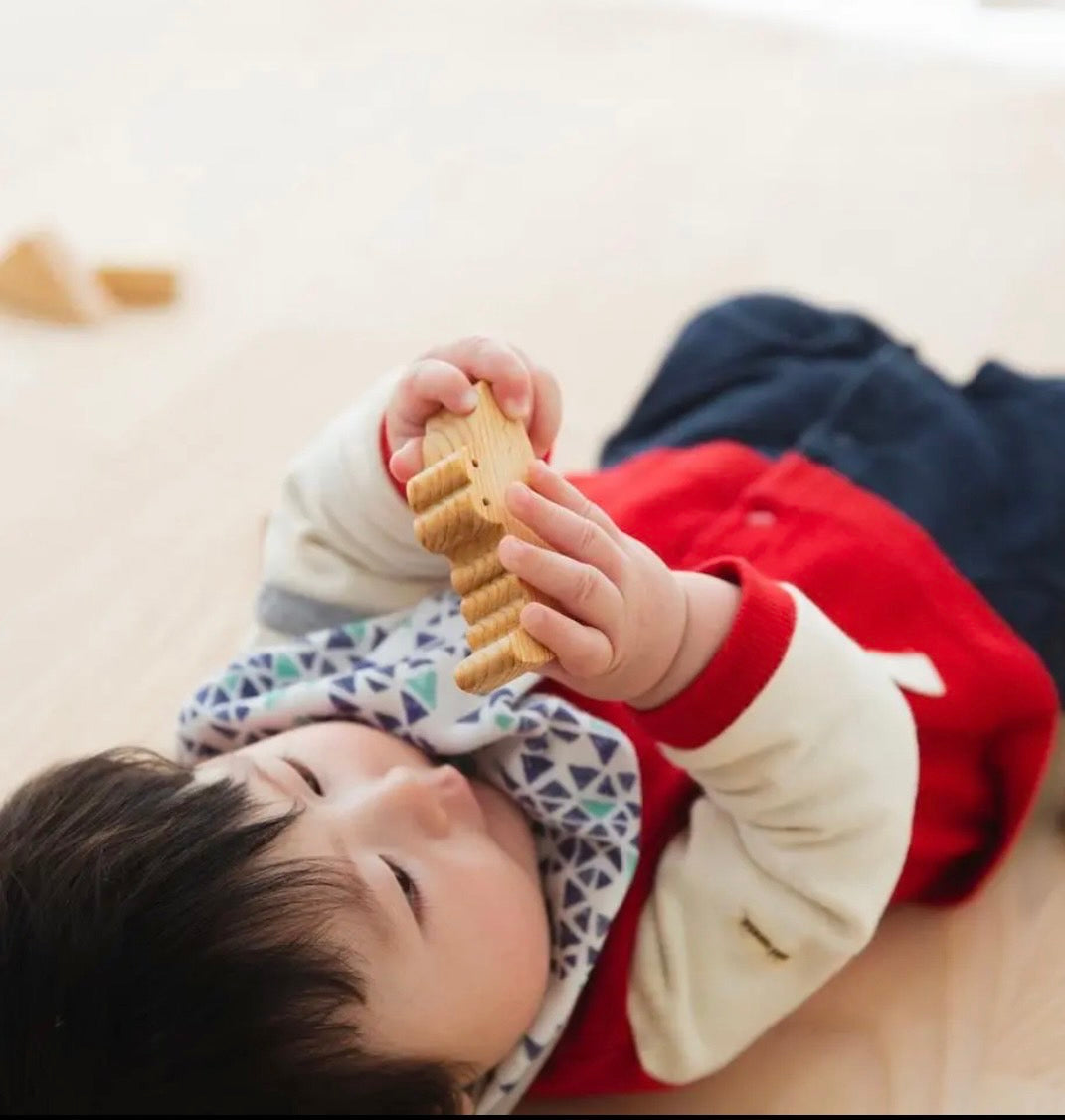 ISIKYU 積み木 クリスマス(大)