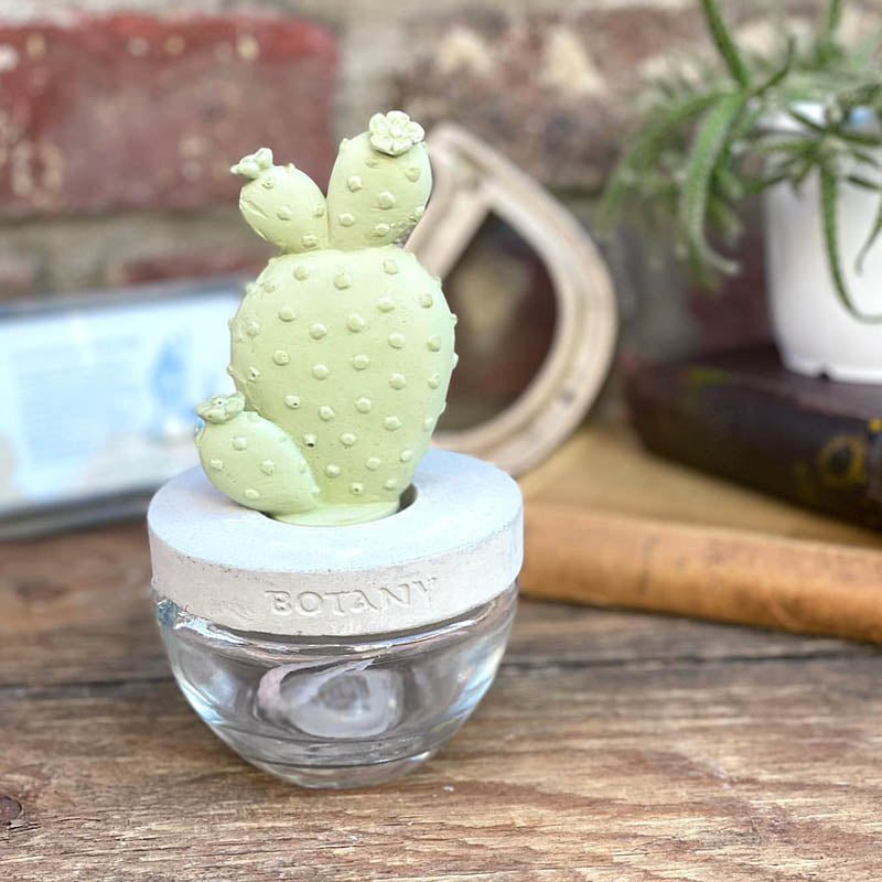 CACTUS FRAGRANCE DIFFUSER A E.PEONY