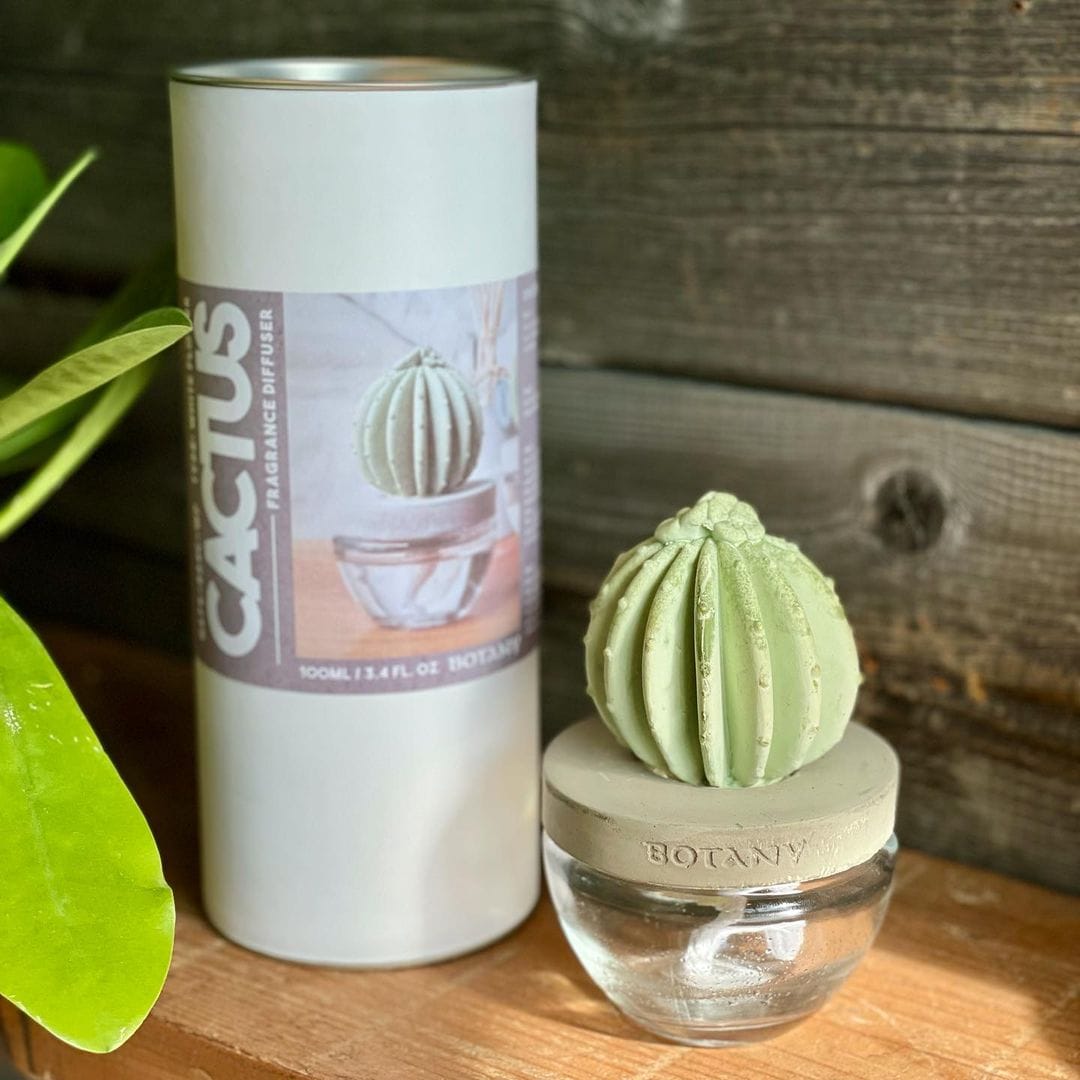 CACTUS FRAGRANCE DIFFUSER C W.FLOWER