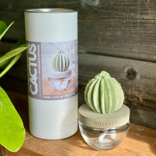CACTUS FRAGRANCE DIFFUSER C W.FLOWER