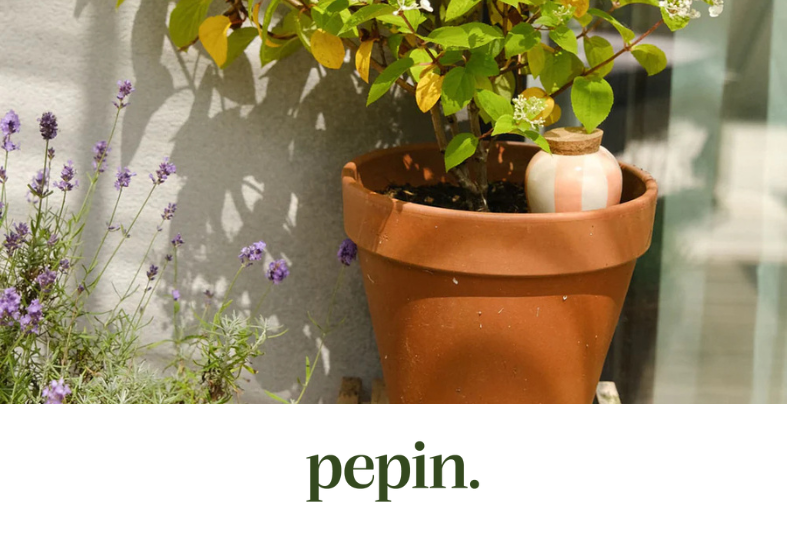 Pepin