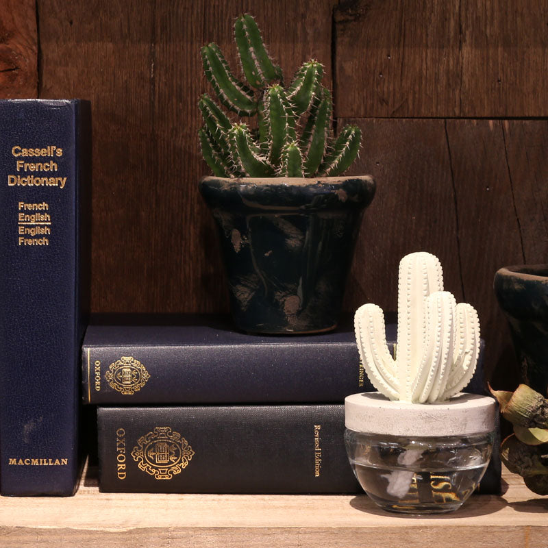 CACTUS FRAGRANCE DIFFUSER B O.BREEZE