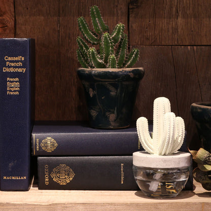 CACTUS FRAGRANCE DIFFUSER B O.BREEZE