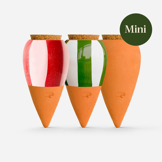 Pepin Mini Olla(ミニオラ)-3set