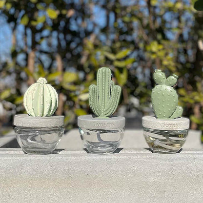 CACTUS FRAGRANCE DIFFUSER B O.BREEZE